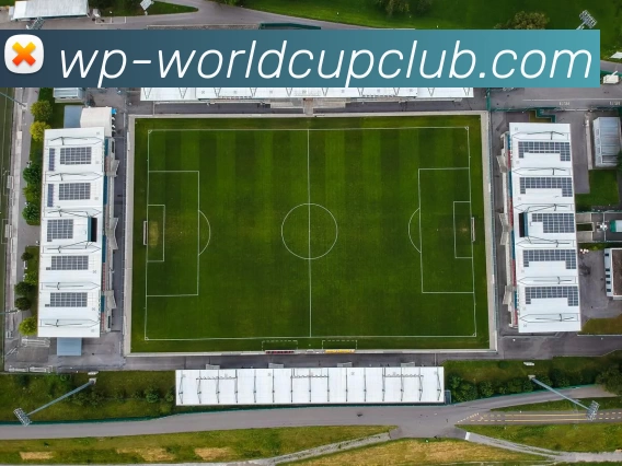 世界杯买球平台生态图