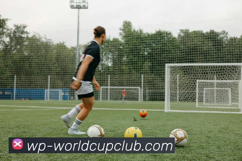 世界杯买球APP 封面图